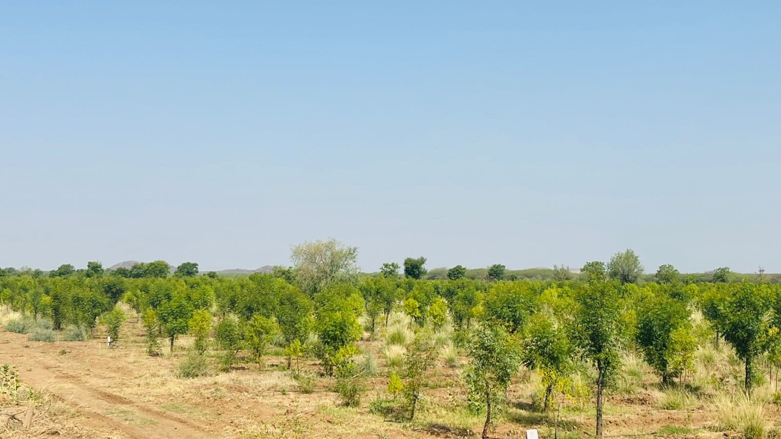 Natural resource management and water conservation.