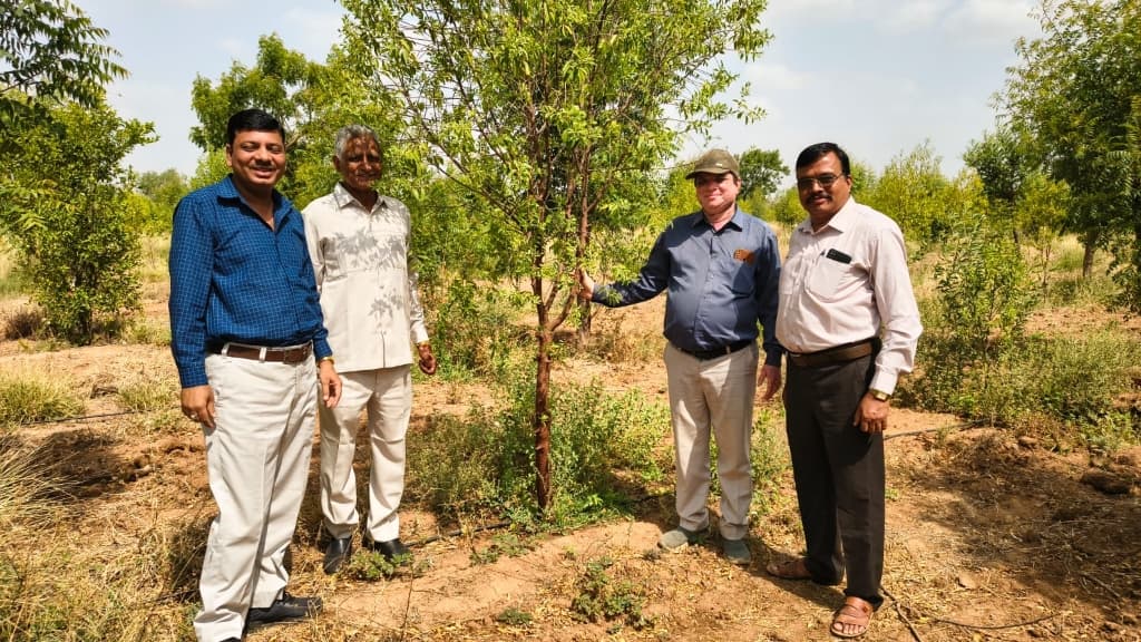 Landowners & visitors inspecting sandalwood growth at Santalum Park.