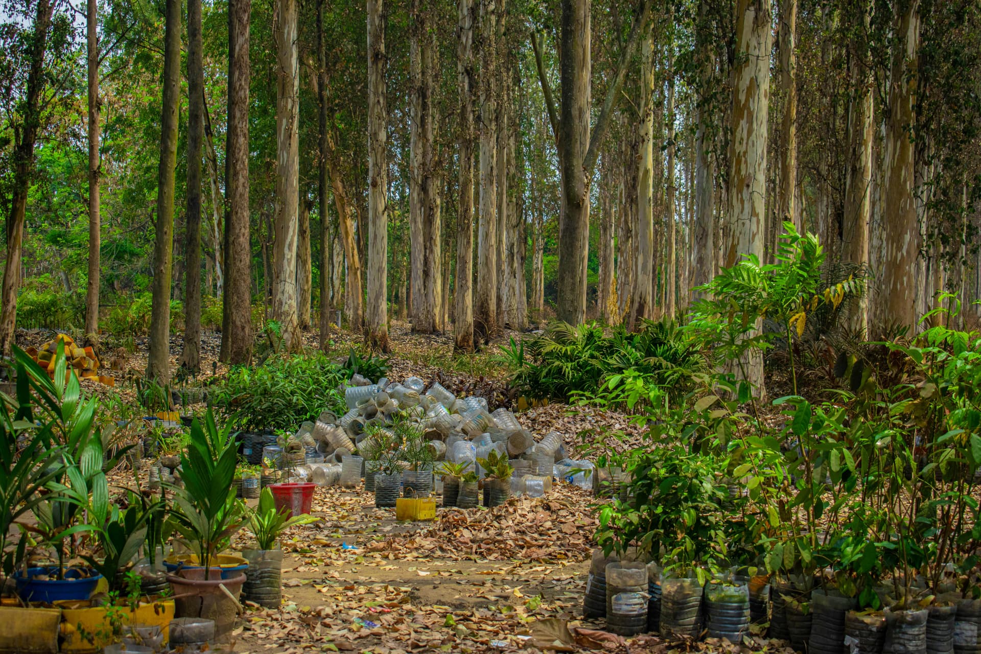 The site after scientific management.